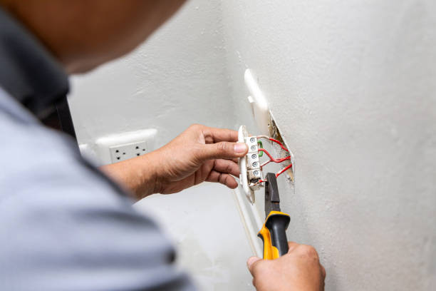 Best Electric Panel Repair  in USA